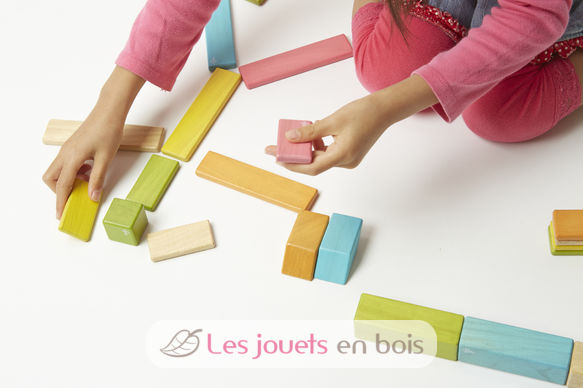 Blocs magnétiques Classroom Kit 90 pcs TG-90P-TNT-608T Tegu 6