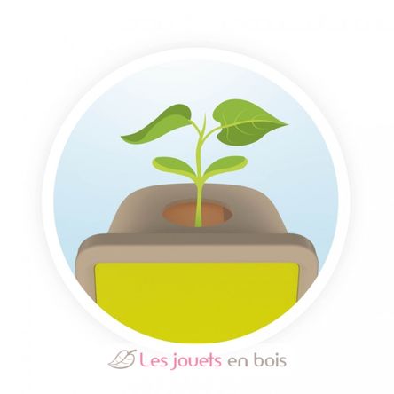 Coffret Petites pousses BUK-M001 Buki France 3