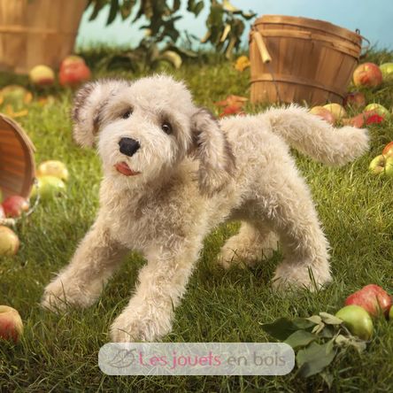 Marionnette à main Chien Labradoodle FO-3136 Folkmanis 3