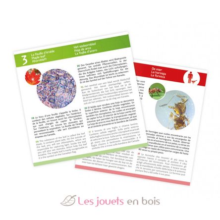 Lames pour microscope BUK-MR001 Buki France 4