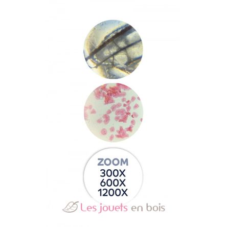 Microscope 40 expériences BUK-MR800 Buki France 4