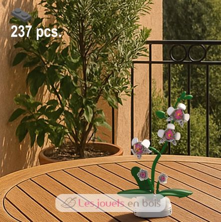 Pot de fleurs d'orchidée 237 pièces C59028W CaDA 3