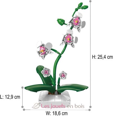 Pot de fleurs d'orchidée 237 pièces C59028W CaDA 4