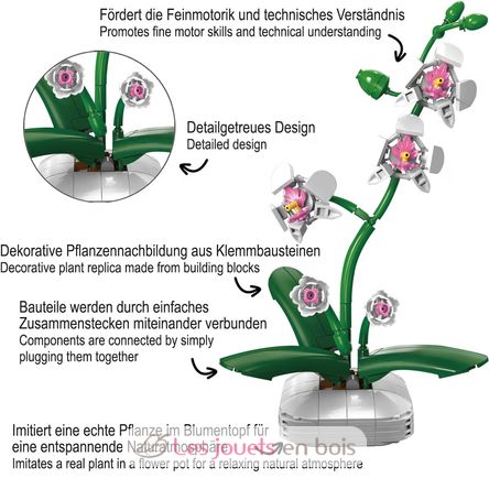Pot de fleurs d'orchidée 237 pièces C59028W CaDA 5
