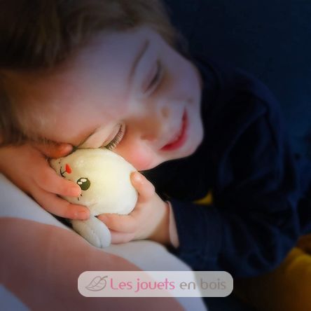 Glow Guards Lapin lumineux en peluche de Pâques de 25,4 cm avec oreilles de  lapin arc-en-ciel - Veilleuse d'anniversaire pour tout-petits enfants