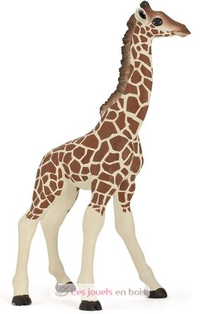 Figurine Girafon PA-50100 Papo 6