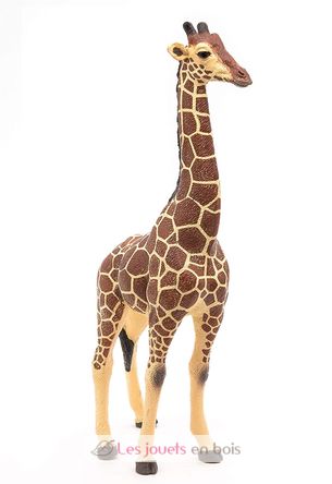 Figurine Girafe mâle PA50149-3612 Papo 7