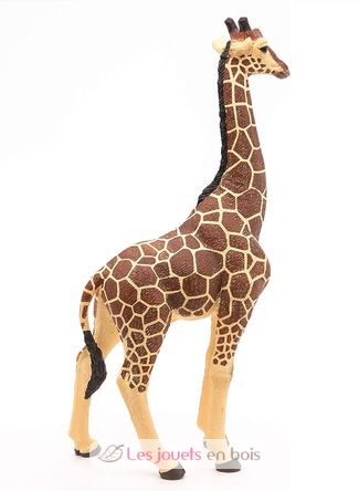 Figurine Girafe mâle PA50149-3612 Papo 6