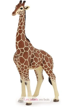 Figurine Girafe mâle PA50149-3612 Papo 5