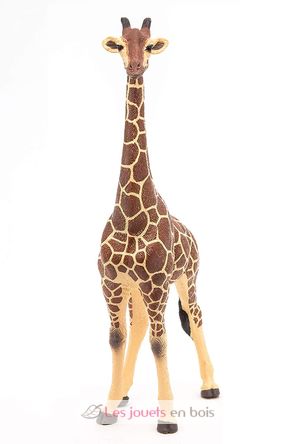 Figurine Girafe mâle PA50149-3612 Papo 3