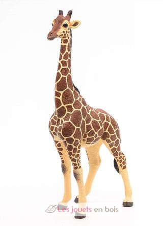 Figurine Girafe mâle PA50149-3612 Papo 2