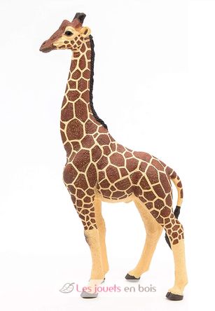 Figurine Girafe mâle PA50149-3612 Papo 1