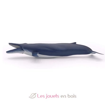 Baleine bleue PA56037 Papo 6