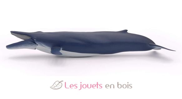 Baleine bleue PA56037 Papo 6