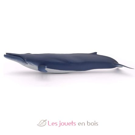 Baleine bleue PA56037 Papo 4