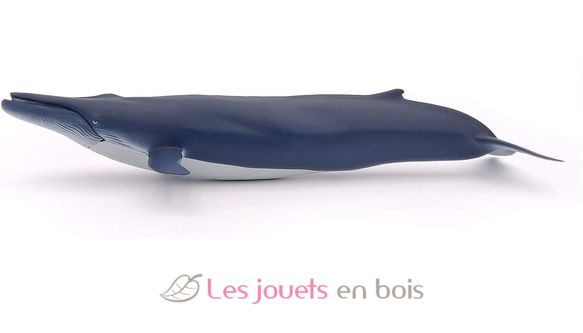 Baleine bleue PA56037 Papo 4