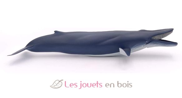 Baleine bleue PA56037 Papo 3