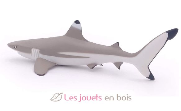 Figurine Requin à pointes noires PA56034 Papo 6