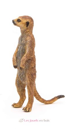 Figurine Suricate debout PA50206 Papo 5