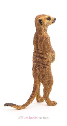 Figurine Suricate debout PA50206 Papo 4