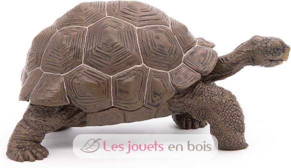 Figurine Tortue des galapagos PA50161-3929 Papo 7