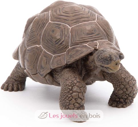 Figurine Tortue des galapagos PA50161-3929 Papo 6