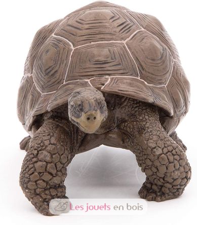 Figurine Tortue des galapagos PA50161-3929 Papo 5