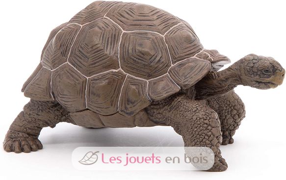 Figurine Tortue des galapagos PA50161-3929 Papo 4