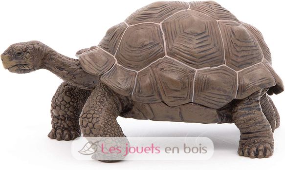 Figurine Tortue des galapagos PA50161-3929 Papo 2