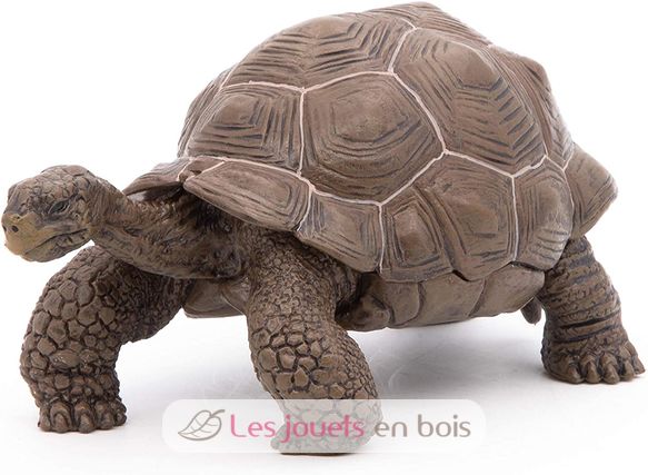 Figurine Tortue des galapagos PA50161-3929 Papo 1