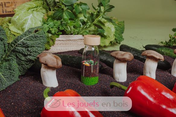 Bouteille sensorielle Veggies PB85753 Petit Boum 6