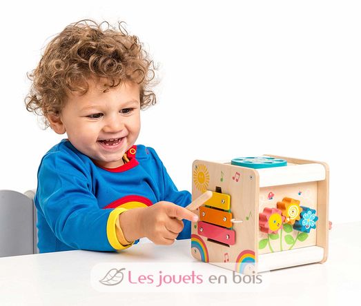 Petit cube d'activités LTV-PL105 Le Toy Van 3