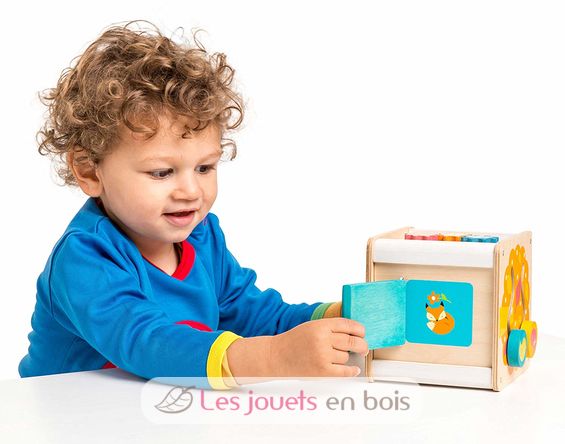 Petit cube d'activités LTV-PL105 Le Toy Van 6