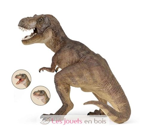 Figurine Tyrannosaure rex PA55001-2895 Papo 2