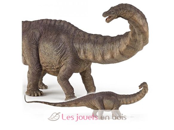 Figurine Apatosaure PA55039-4800 Papo 2