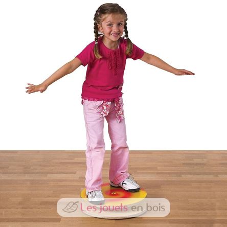 Disque de rotation ER46175-5356 Erzi 2