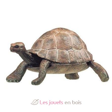 Figurine Tortue PA50013-2906 Papo 1