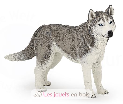 Figurine Husky de Sibérie PA54035-3964 Papo 1