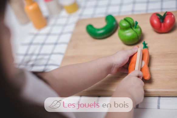 Les fruits et légumes moches PT3495 Plan Toys 11