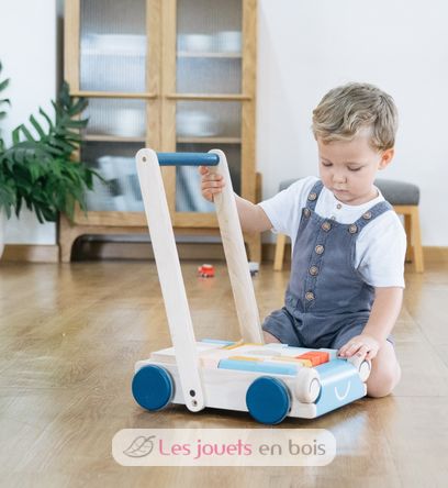 Chariot de marche Tendresse PT5100 Plan Toys 2