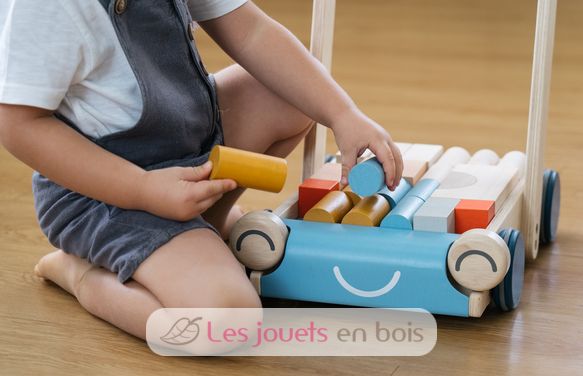 Chariot de marche Tendresse PT5100 Plan Toys 12