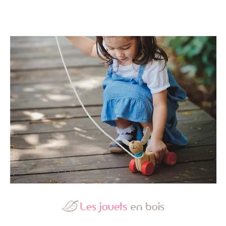 Teck le petit chien à tirer PT5101 Plan Toys 3