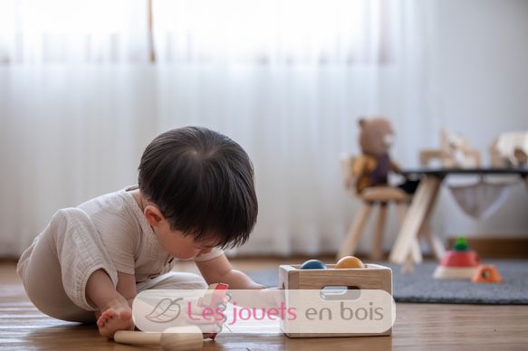 Boîte de 3 balles Tendresse PT5472 Plan Toys 4