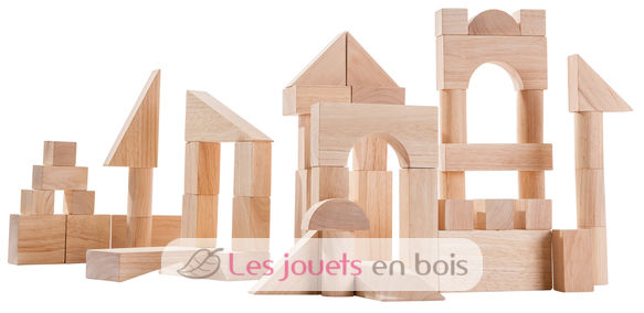 Blocs de construction 50 pièces PT5502 Plan Toys 1