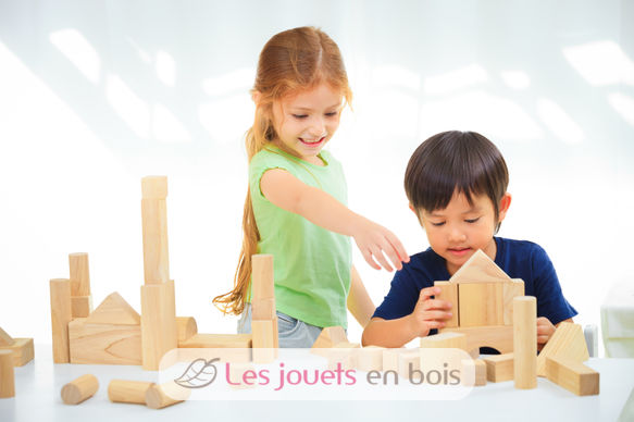 Blocs de construction 50 pièces PT5502 Plan Toys 2