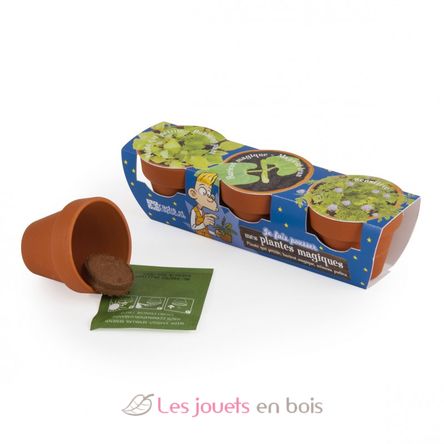 Trio de plantes magiques RC-034137 Radis et Capucine 3