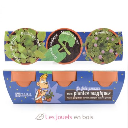 Trio de plantes magiques RC-034137 Radis et Capucine 4