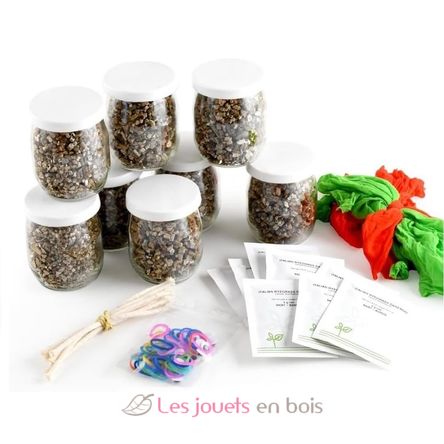 Coffret DIY - Mr Patate à faire pousser RC-143193 Radis et Capucine 3