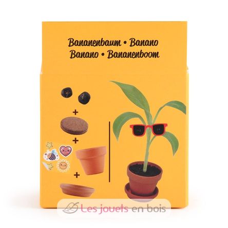Je fais pousser mon Bananier RC-014265 Radis et Capucine 5