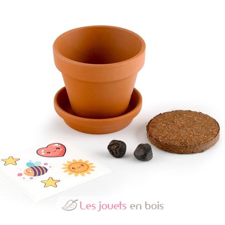 Je fais pousser mon Bananier RC-014265 Radis et Capucine 4